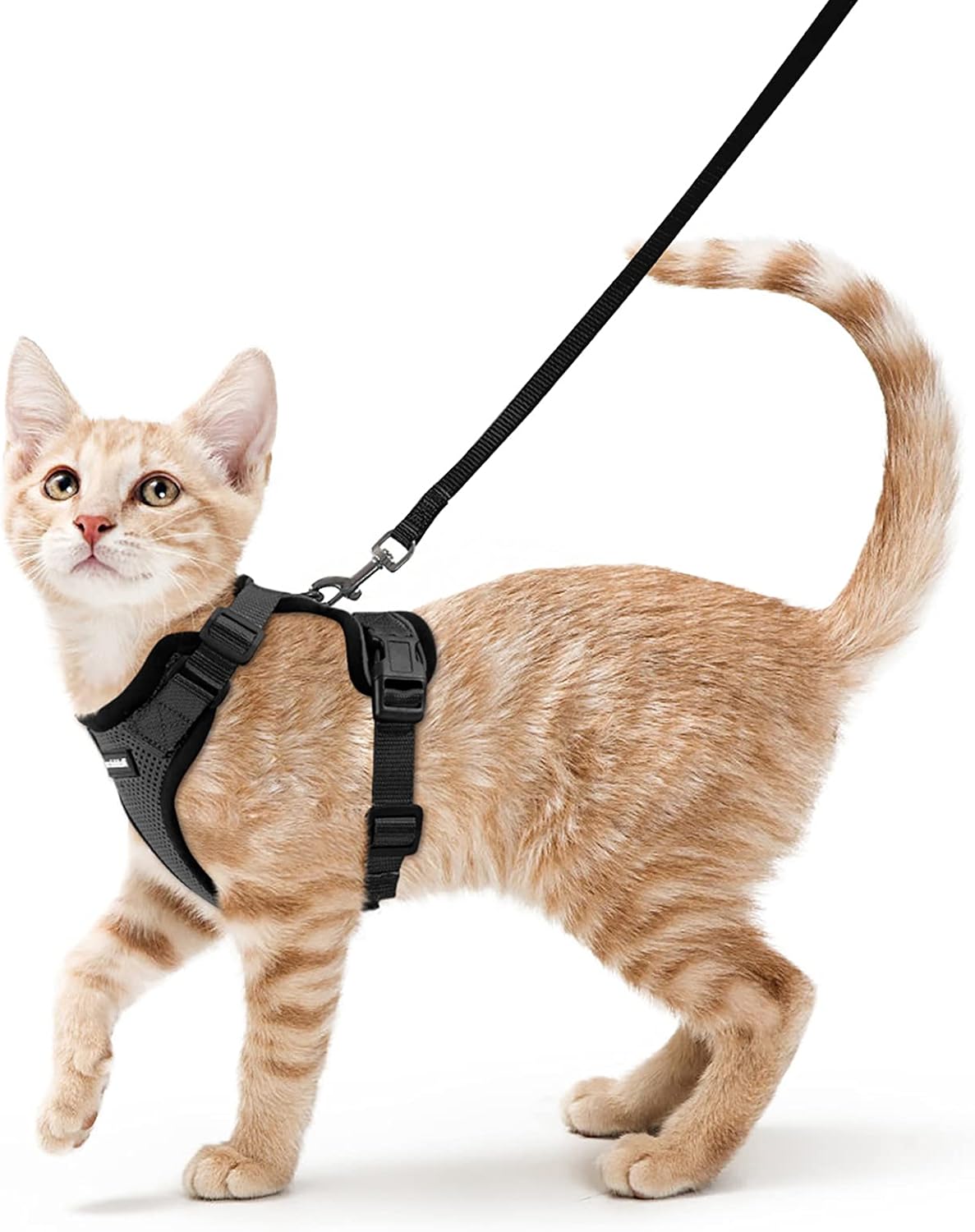 rabbitgoo Cat Harness and Lead Set, Escape Proof Kitten Harness with Leash, Meta...