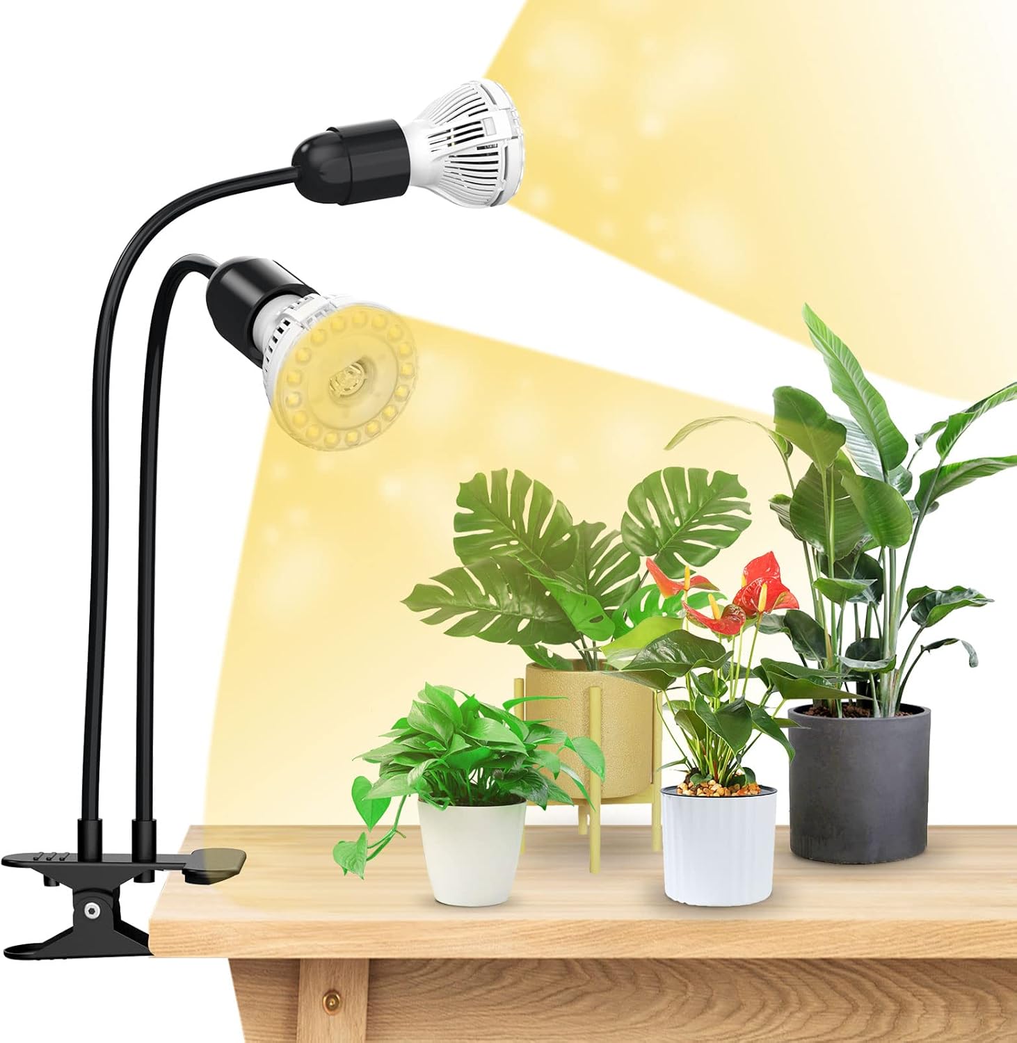 SANSI 300W LED Grow Lights for Indoor Plants with Lifetime Free E27 Grow Bulb Re...