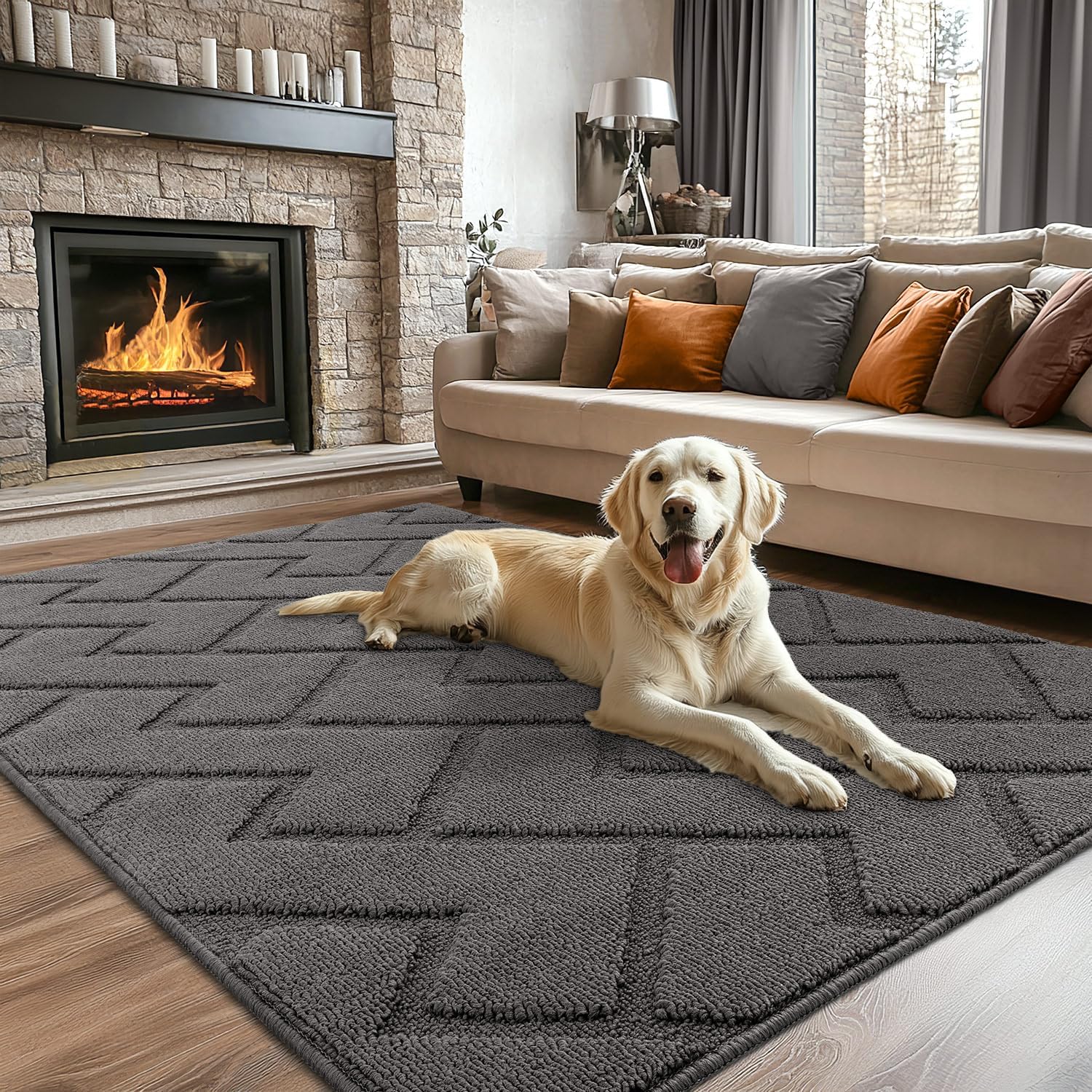 High-Quality Biscpro Door Mat, Special Indoor Washable DoorMat, Innovative Dirt...