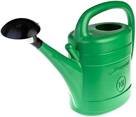 Garden Watering Can Green Wash Watering Cans Rose Storage Nozzle (10L)