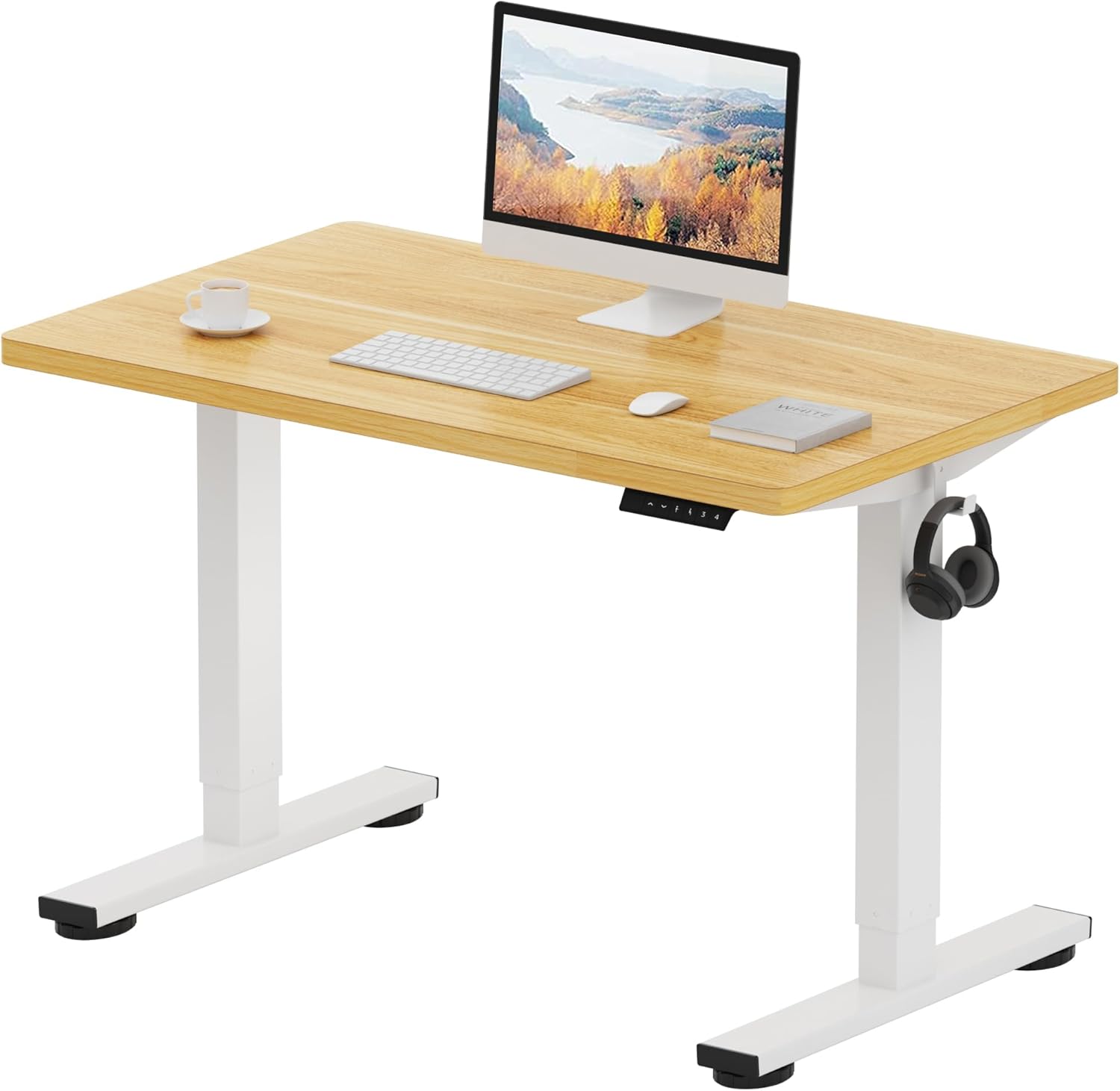 FLEXISPOT ONE PIECE Electric Standing Desk Height Adjustable Sit Stand Up Desk f...
