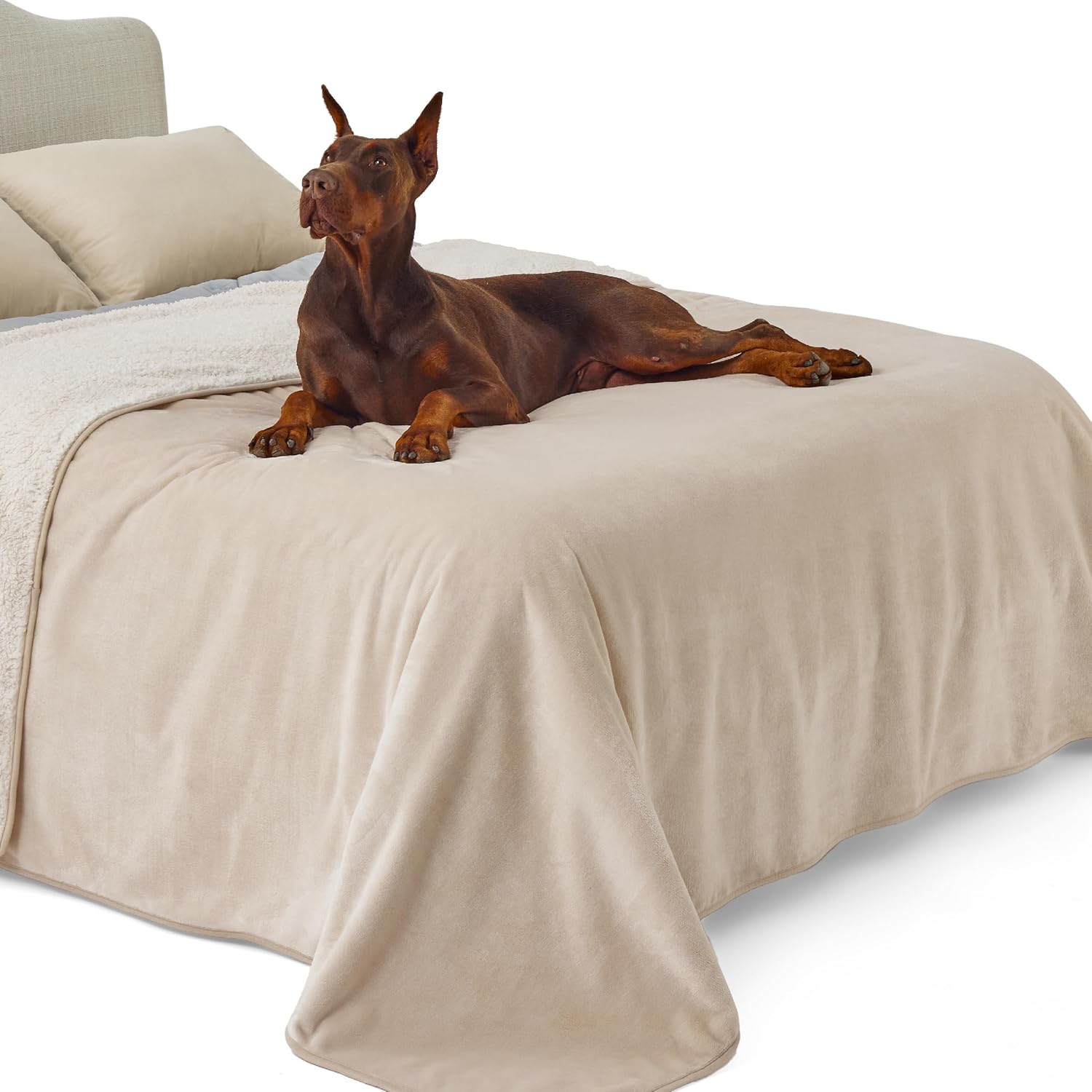 Premium Lesure Waterproof Fleece Blanket, Versatile Washable Blanket for People...