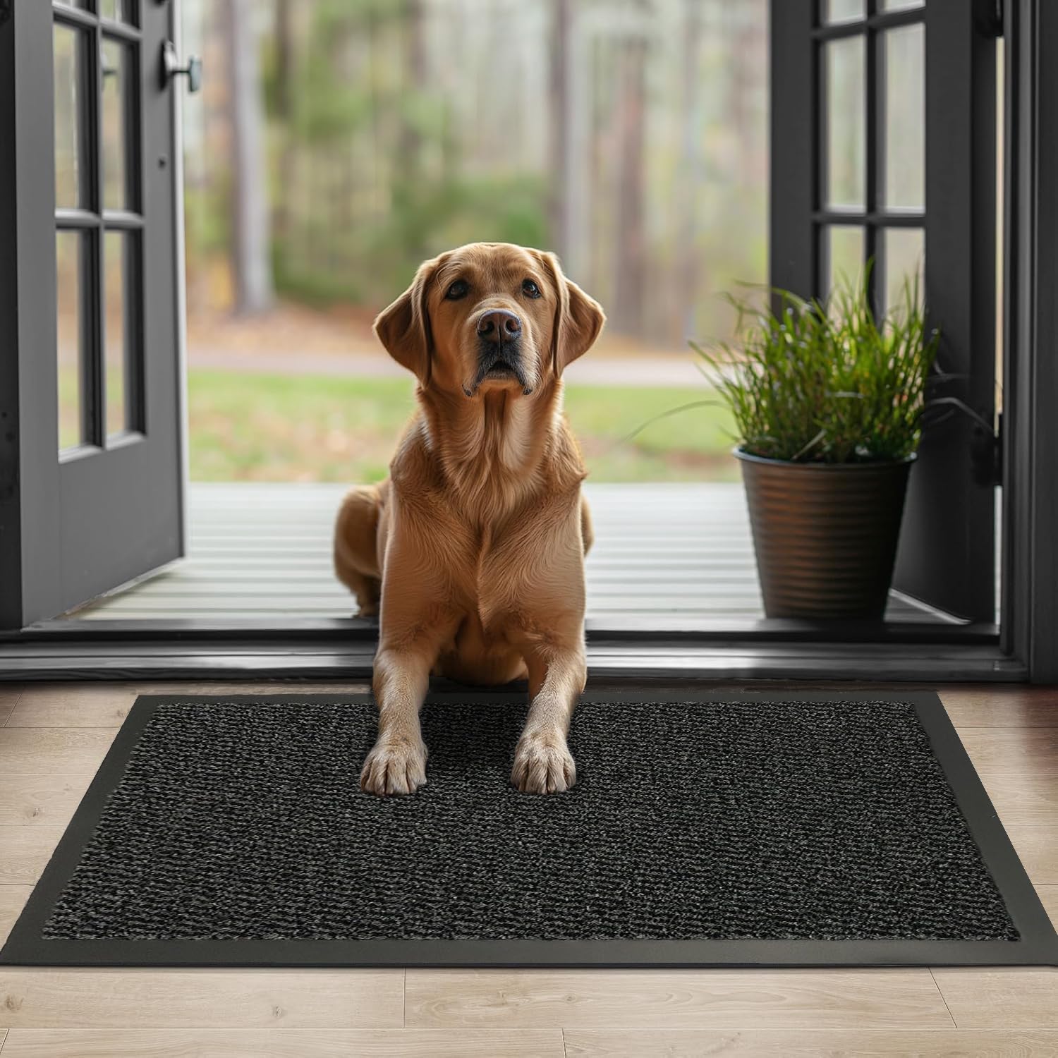 GULLAMBO Muddy Mats, Special Entrance Door Mat and Pet Rugs, Innovative Washable...