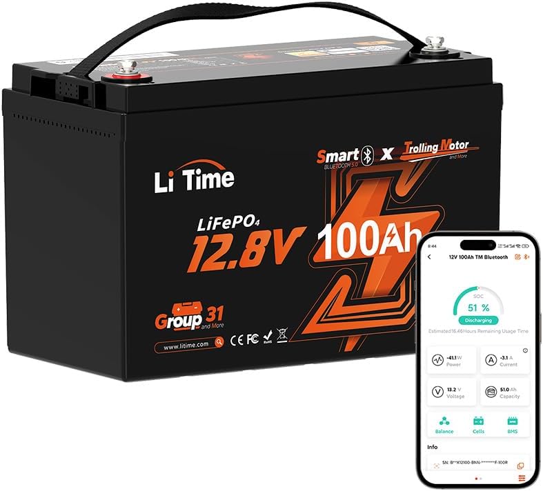 Litime 12V 100Ah TM Bluetooth Low-Temp Protection LiFePO4 Battery Buit in 100A B...