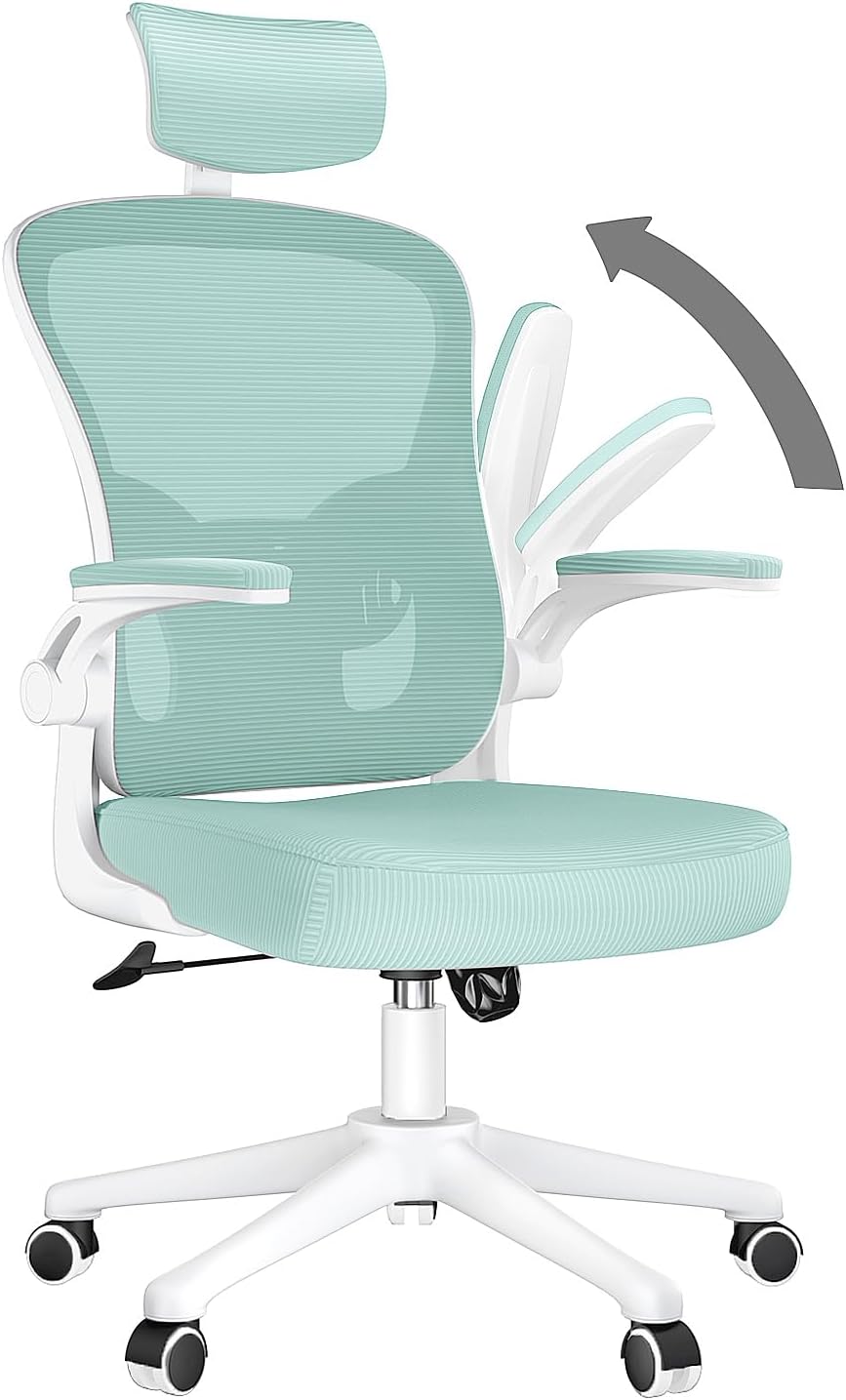 naspaluro Office Desk Chair, Special Ergonomic Office Chair with Flip-Up Armrest...