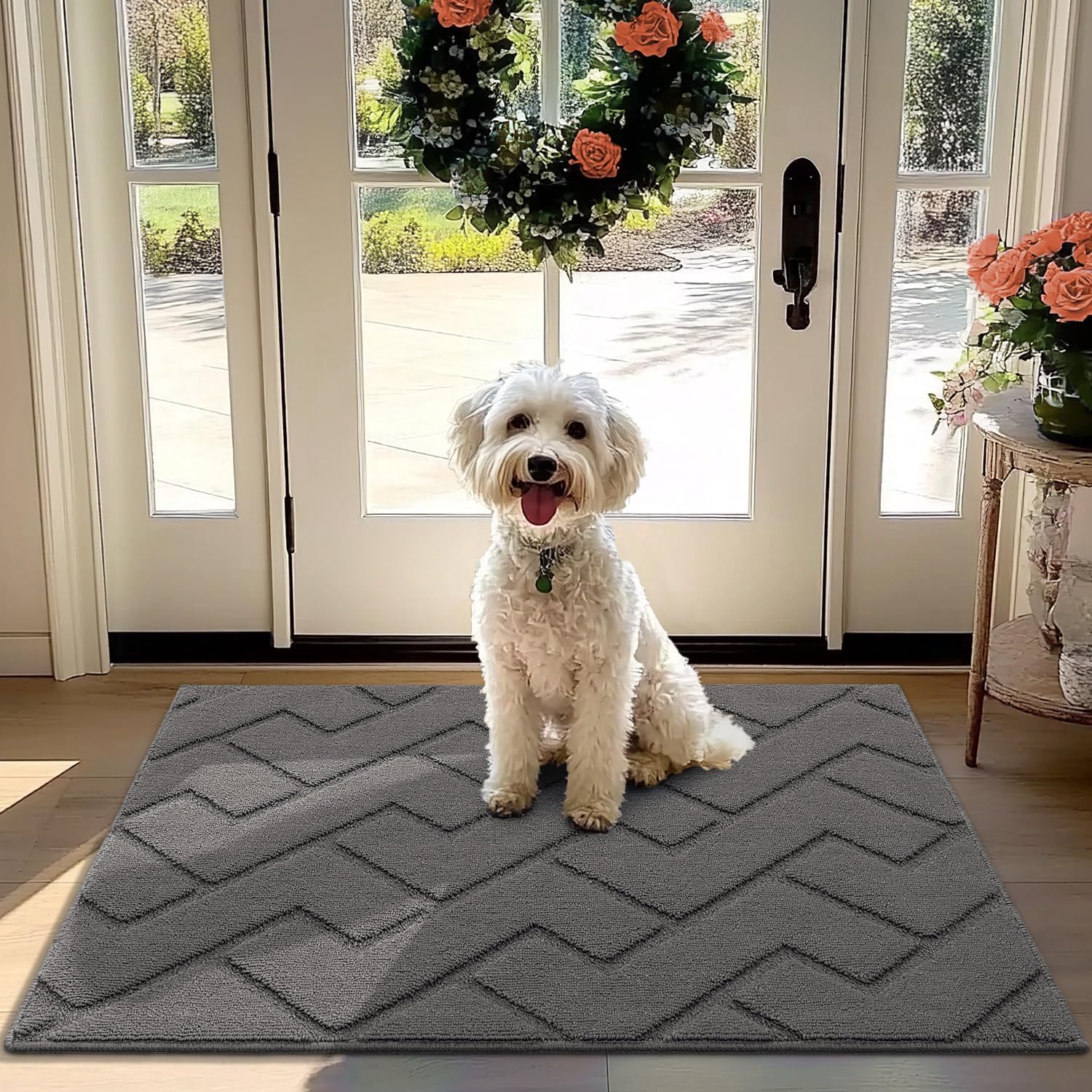 Biscpro Door Mat, 80x100 cm DoorMat Indoor Washable, Doormat Indoor Dirt Trapper...