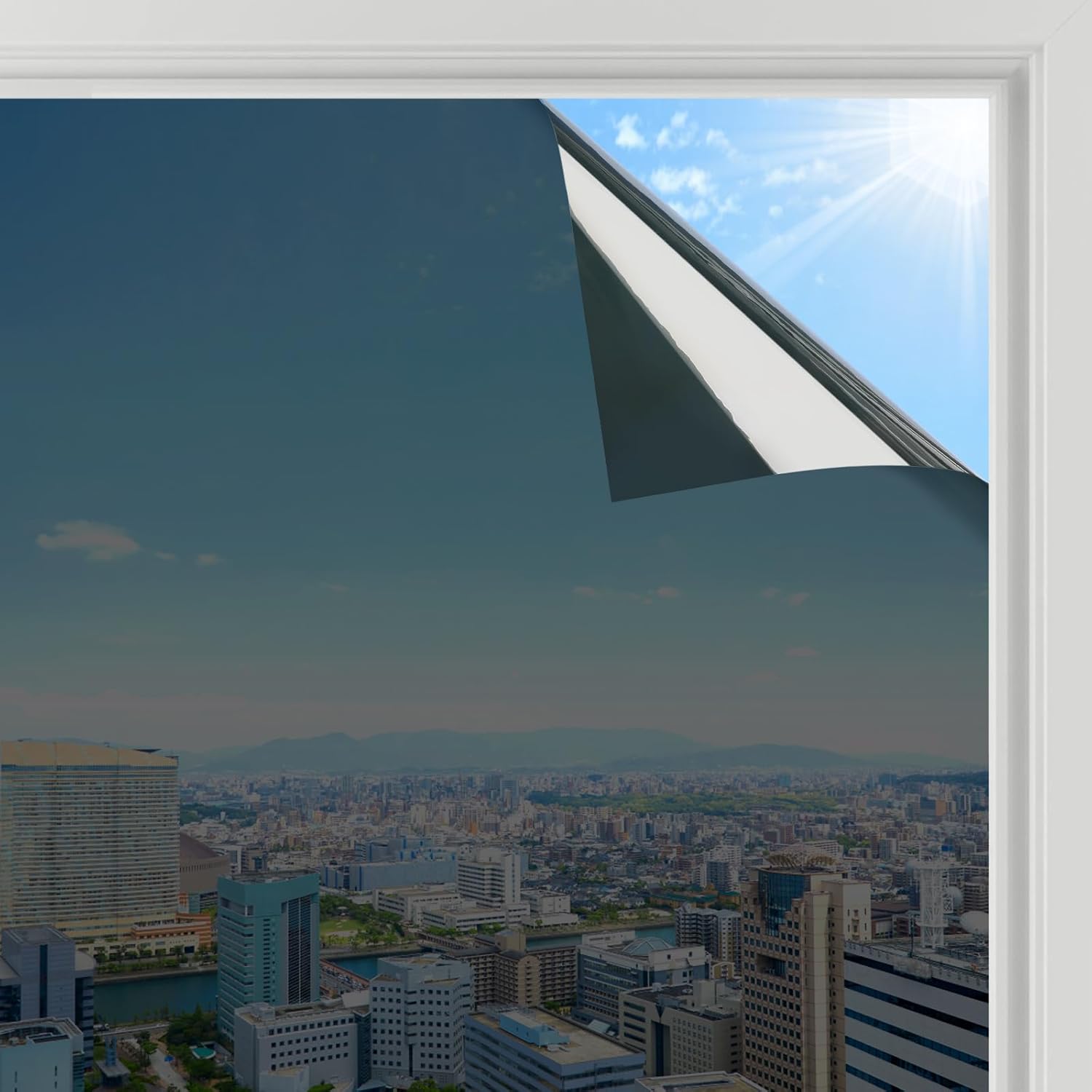 rabbitgoo Heat Reflective Window Film Privacy Film for Glass Windows, One Way Mi...