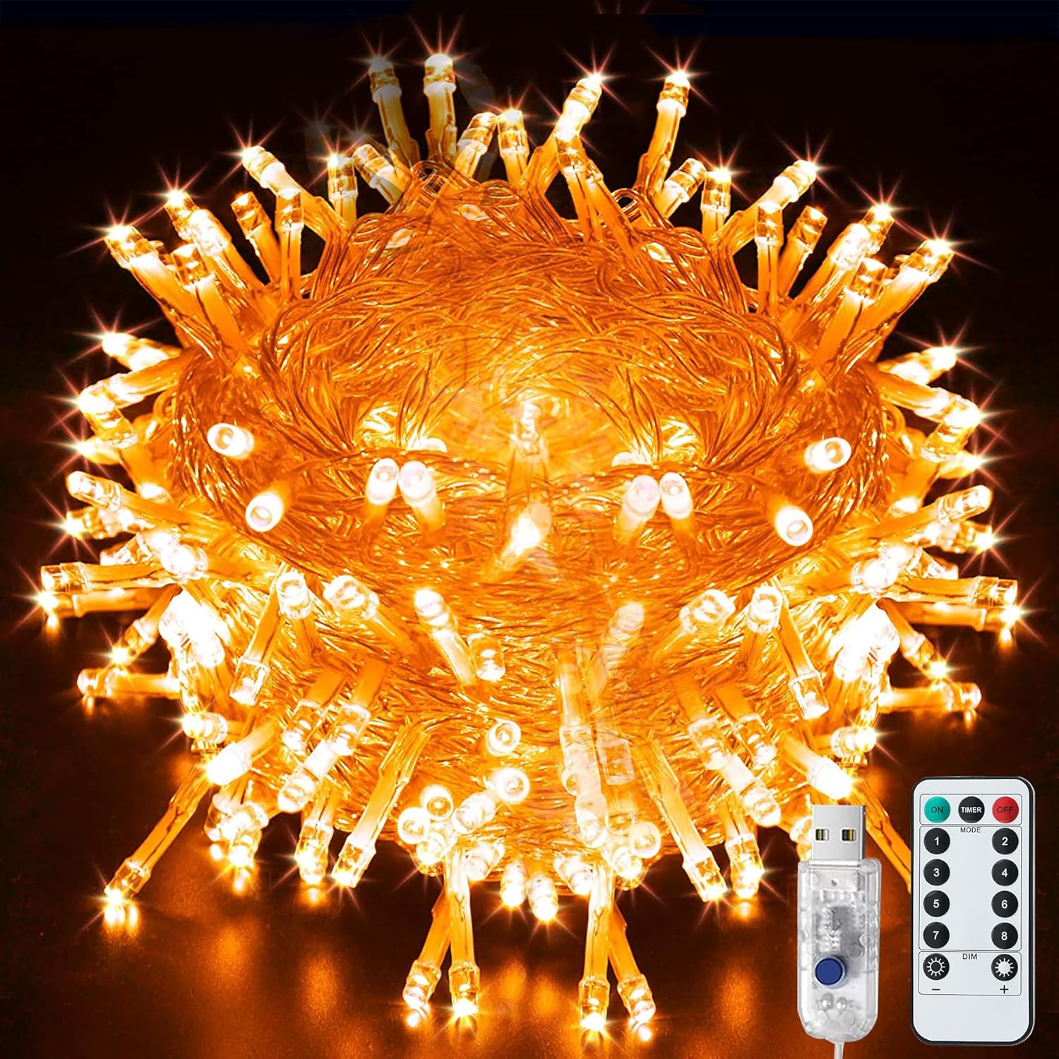LITYBY Fairy String Lights, Unique USB Plug in Powered Lights for Versatile Deco...