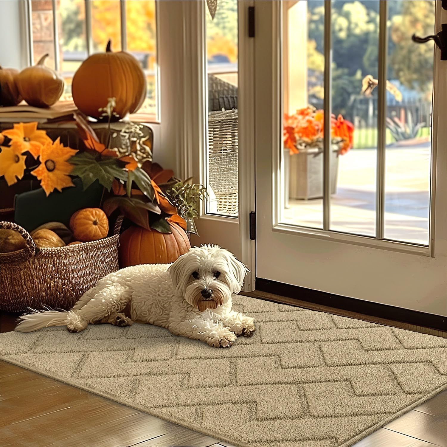 Biscpro Door Mat, Special Indoor Washable Doormat for Dirt Trapping, Innovative...