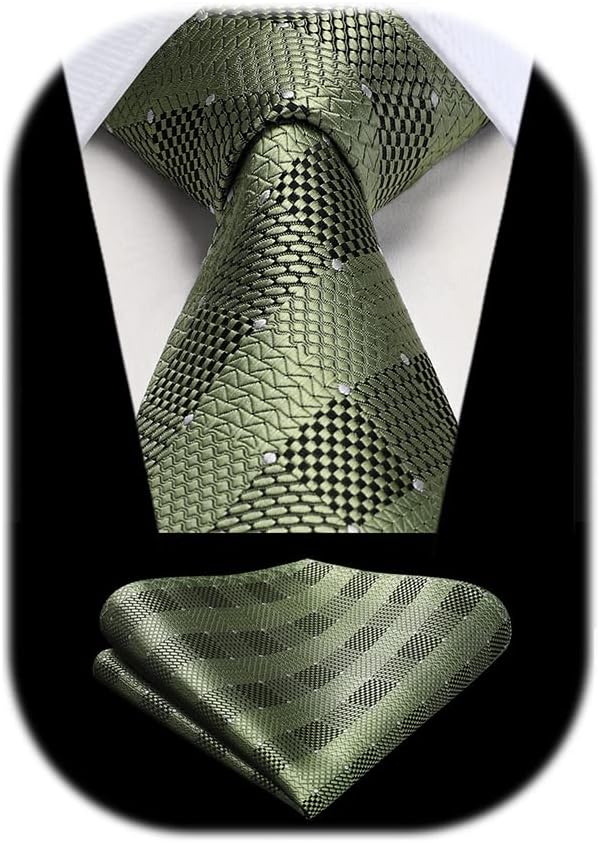 HISDERN Men's Wedding Ties, Special Ties for Elegant Occasions