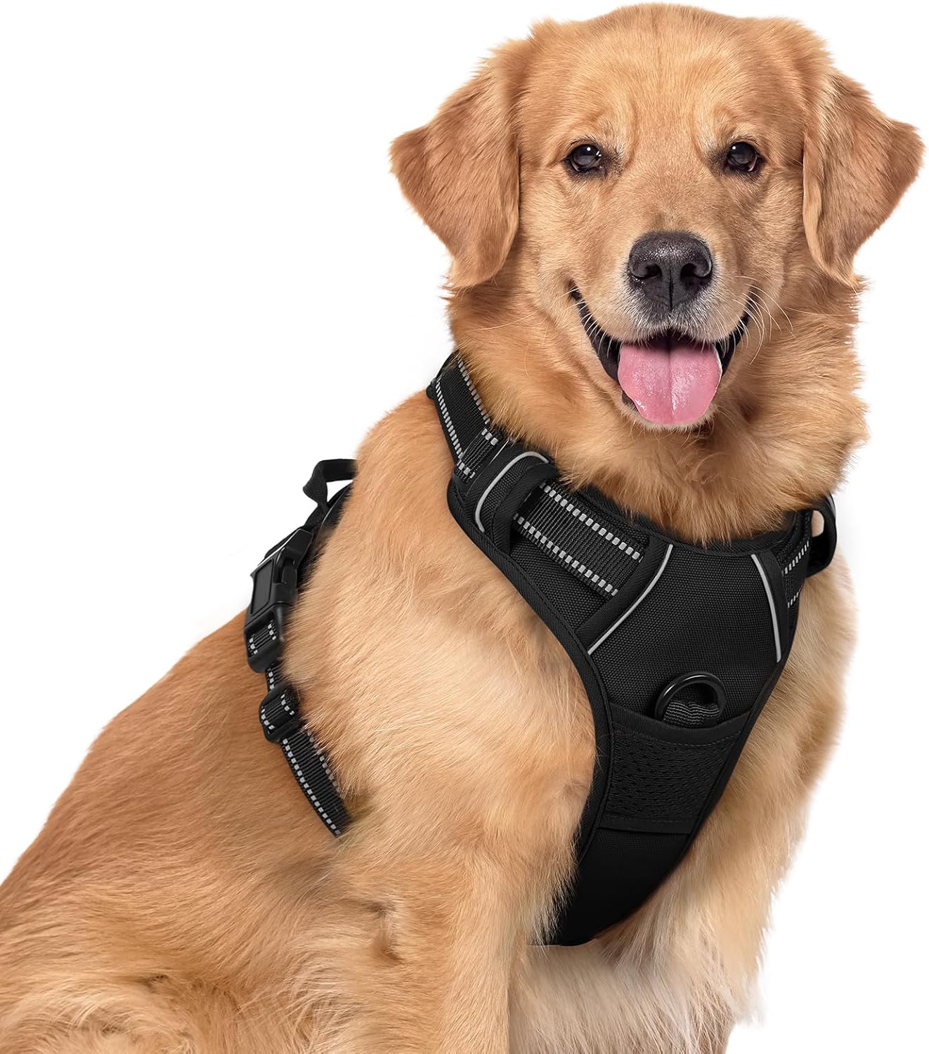 rabbitgoo Dog Harness Large Dog No Pull Pet Harness with 2 Leash Clips, Adjustab...