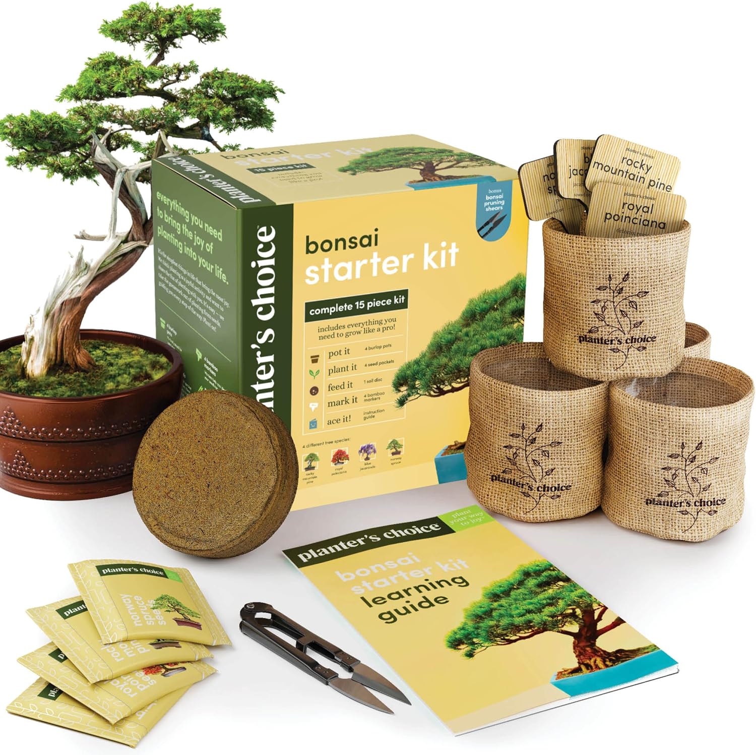 Bonsai Starter Kit - Gardening Easter Gift for Women & Men - Bonsai Tree Growing...