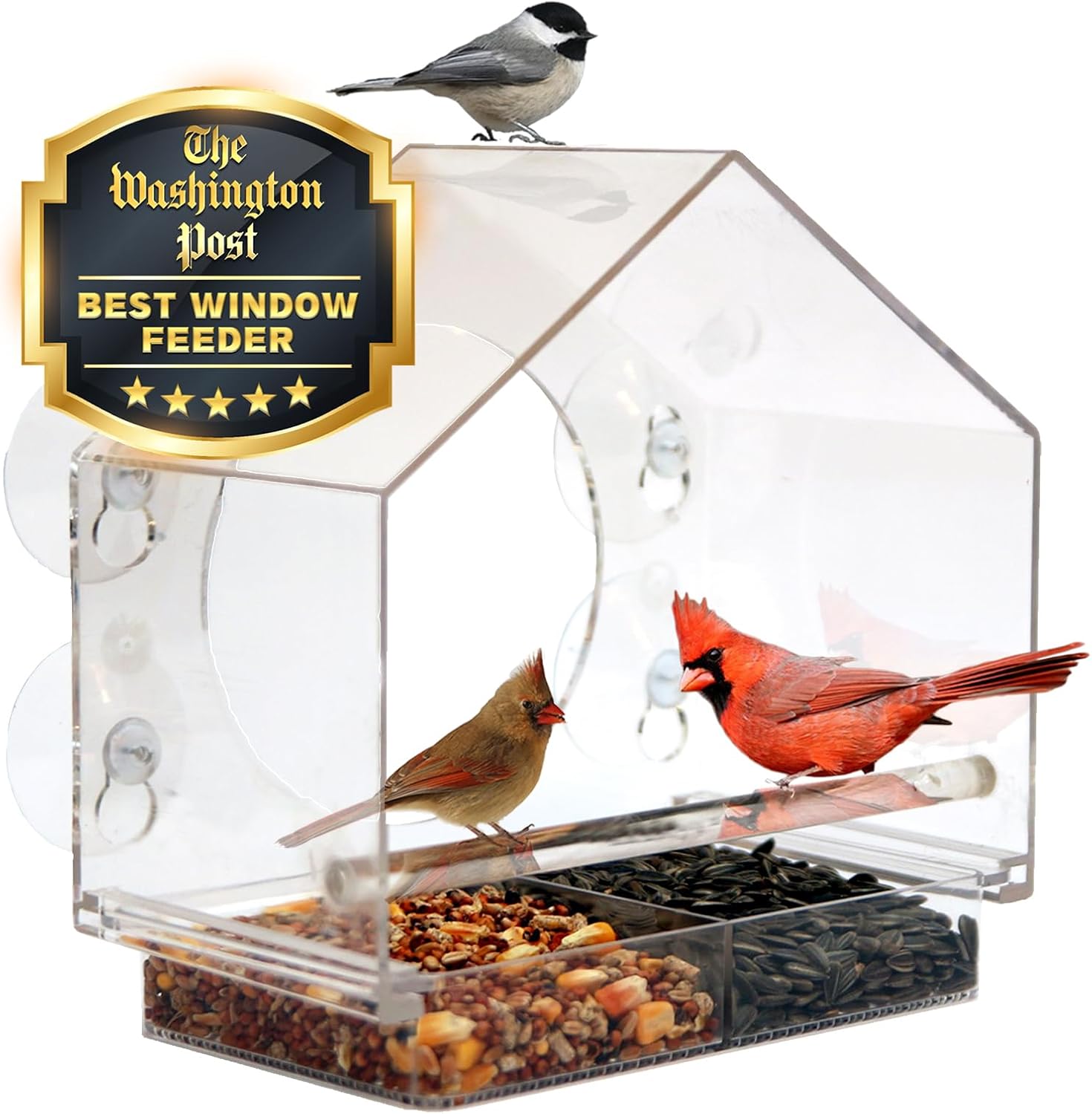 Premium Nature Anywhere Window Bird Feeder, Unique Transparent Acrylic Bird Feed...