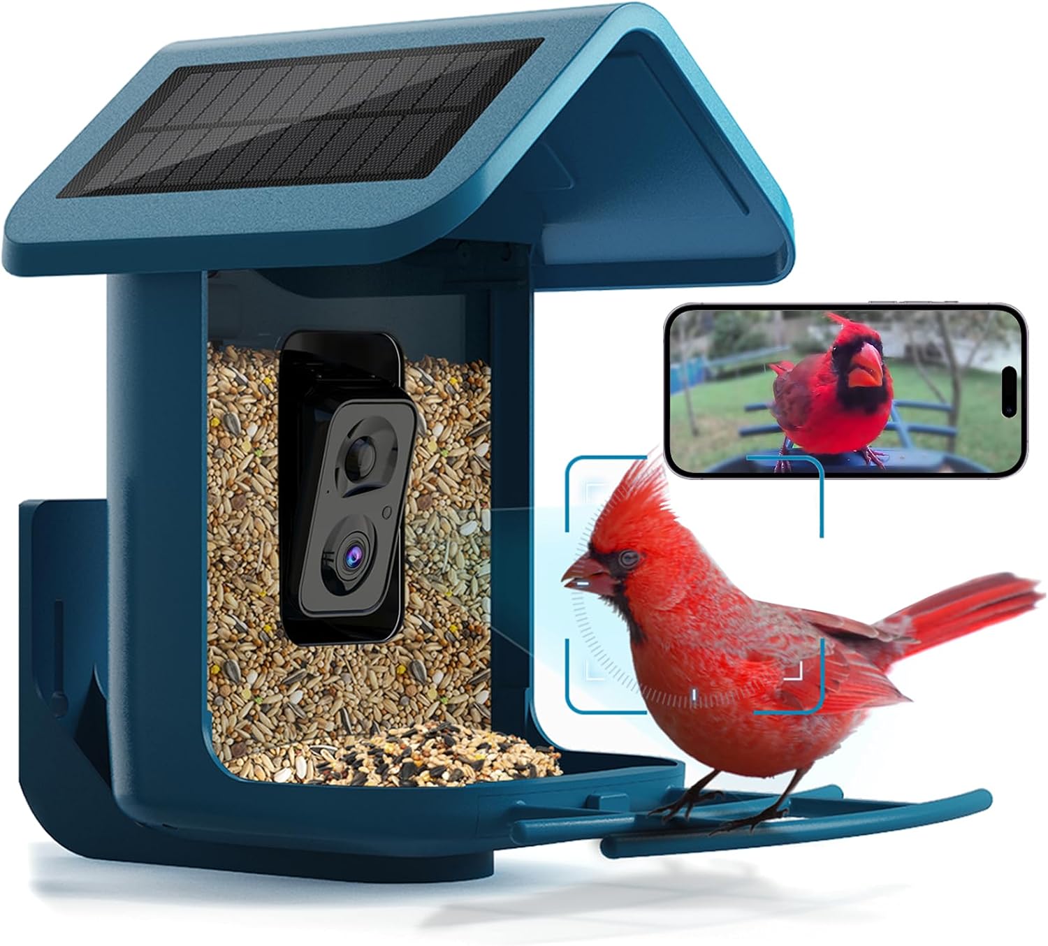 Bird Feeder with Camera Solar Powered : Smart Camera Bird Feeder 2K Live Feed Ca...