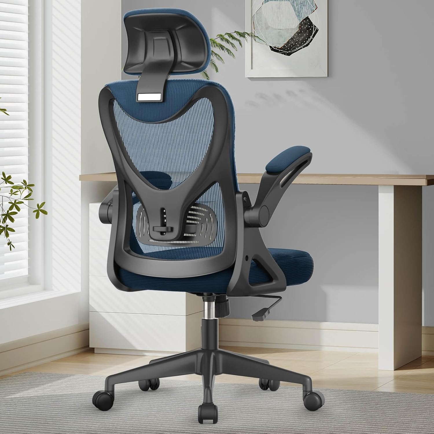 Premium Ergonomic Office Chair, Special Desk Chair with Lumbar Support, High-Qua...