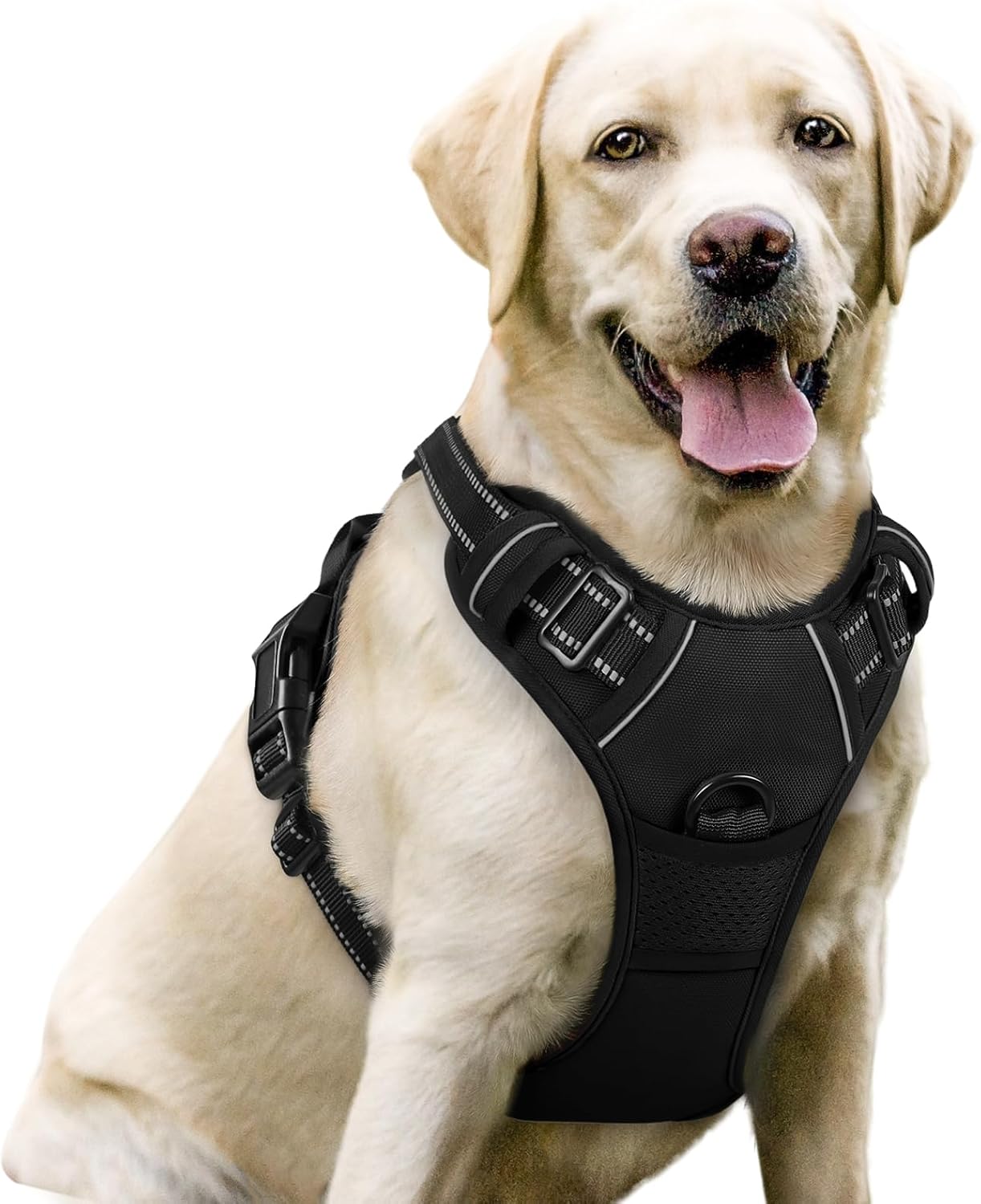rabbitgoo Dog Harness Large Dog No Pull Pet Harness with 2 Leash Clips, Adjustab...