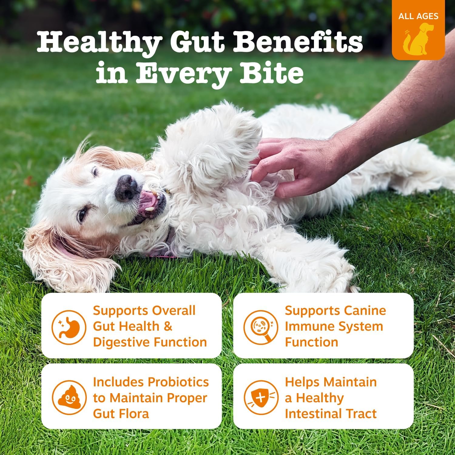Zesty Paws Probiotics for Dogs - Digestive Enzymes for Gut Flora, Digestive Heal...