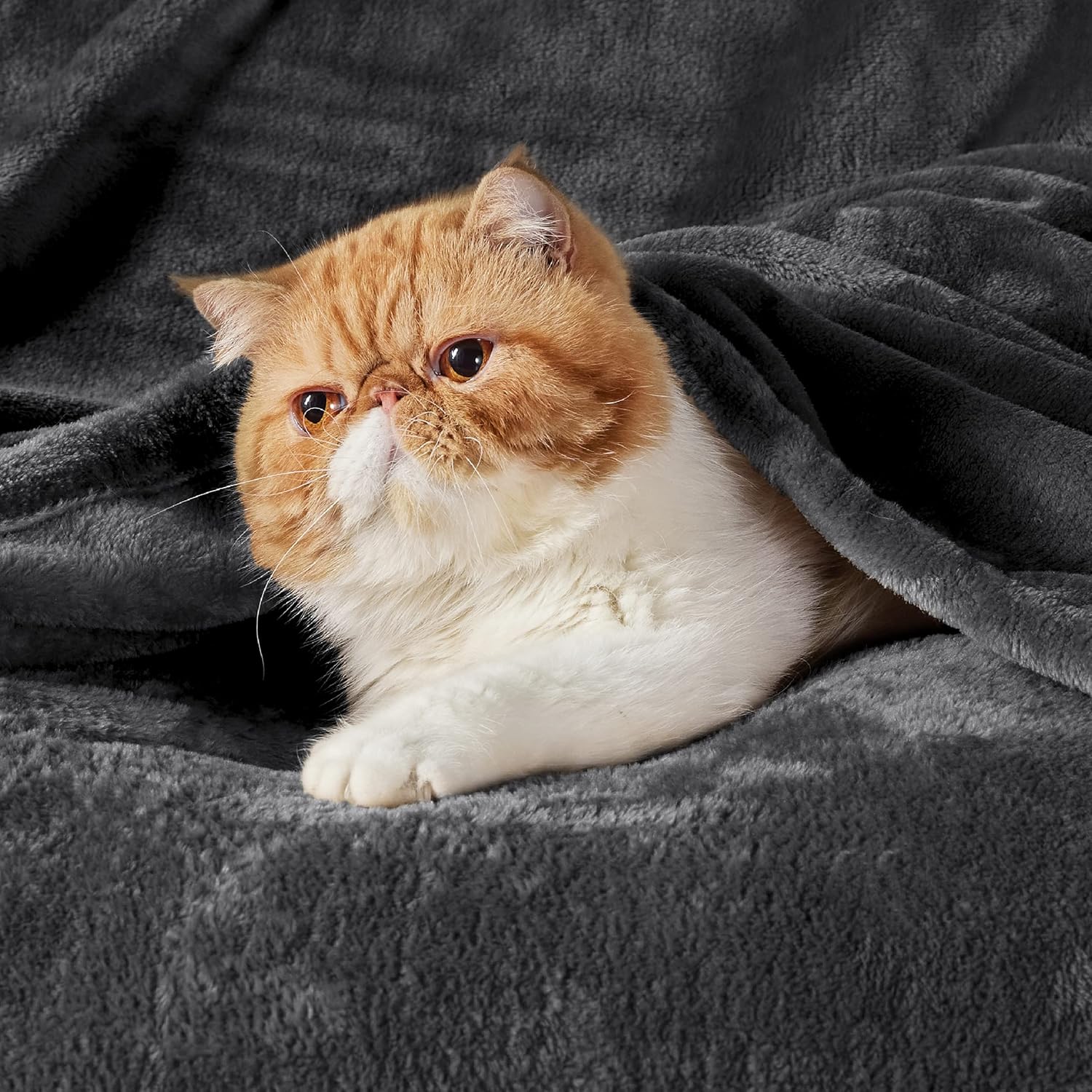 Bedsure Fleece Blanket for Bed - Soft Cosy Fluffy Throw Blankets, Warm Large Thr...