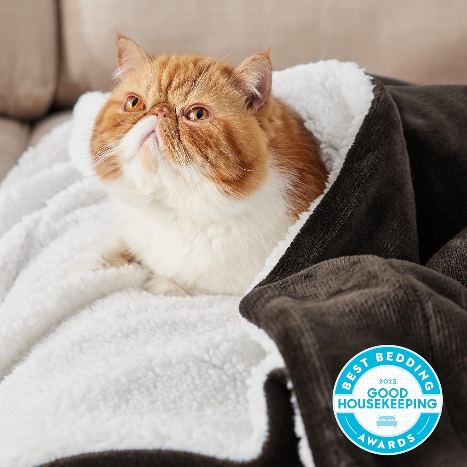 High-Quality Bedsure Sherpa Fleece Throw Blanket, Specially Thick and Warm Blank...