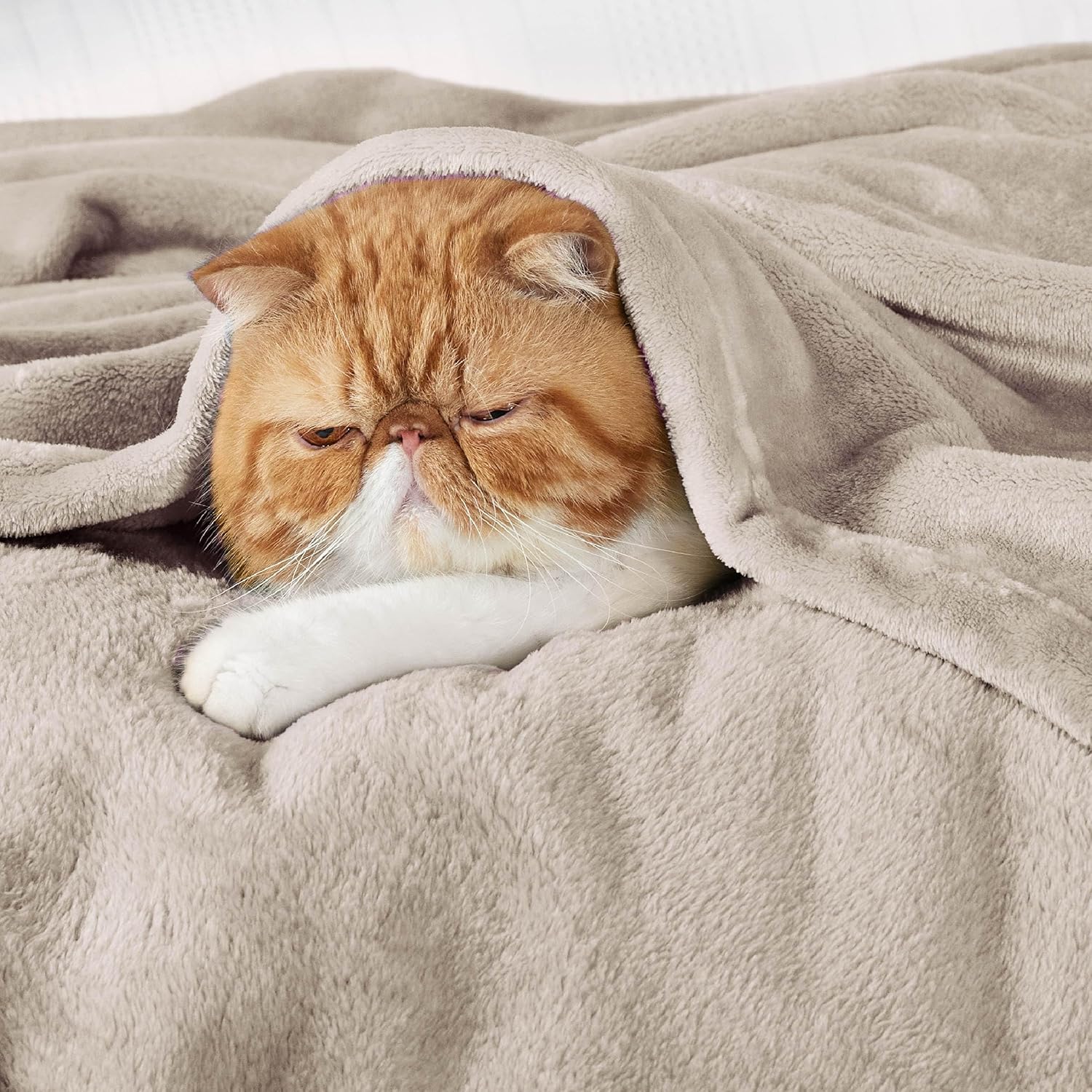 Bedsure Fleece Blanket, Special Soft Cozy Throw Blanket for Bed, Warm and Fluffy...