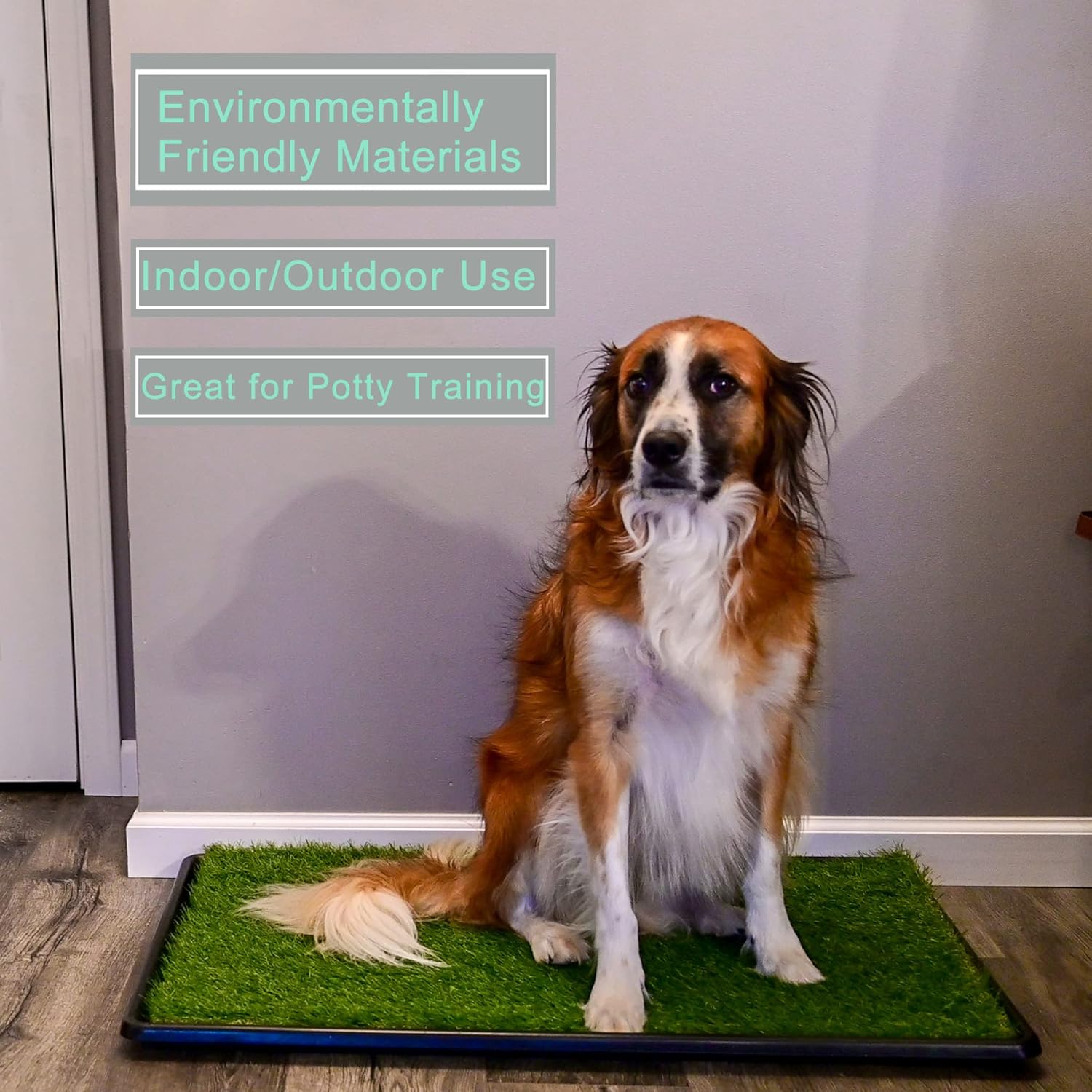 PICK FOR LIFE Dog Grass Toilet, Large size 51 x 63...