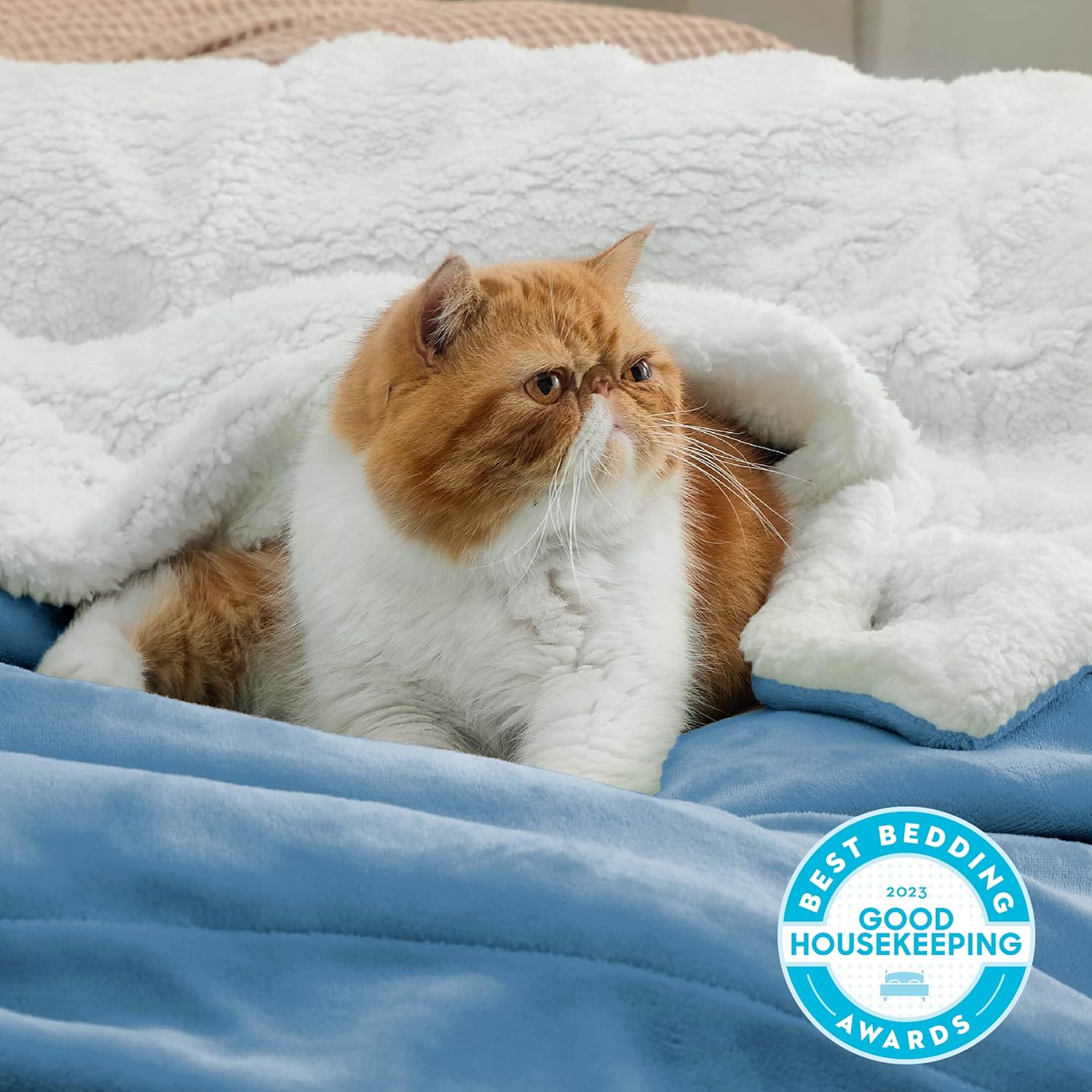 Bedsure Sherpa Fleece Throw Blanket, Special Thick and Warm Blanket, Innovative...