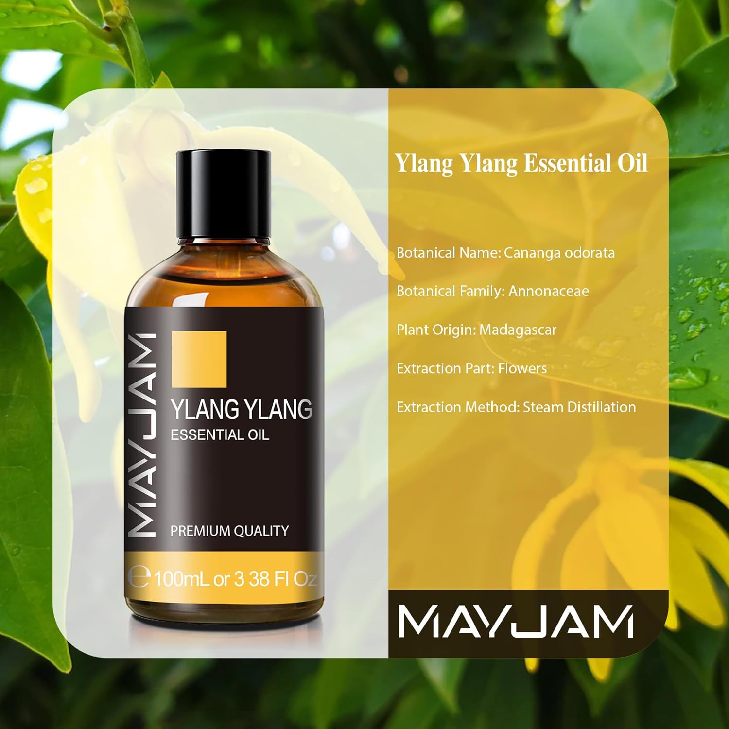 MAYJAM Ylang Ylang Essential Oil 100ML - Diffuser & Humidifier, DIY, Home & Offi...