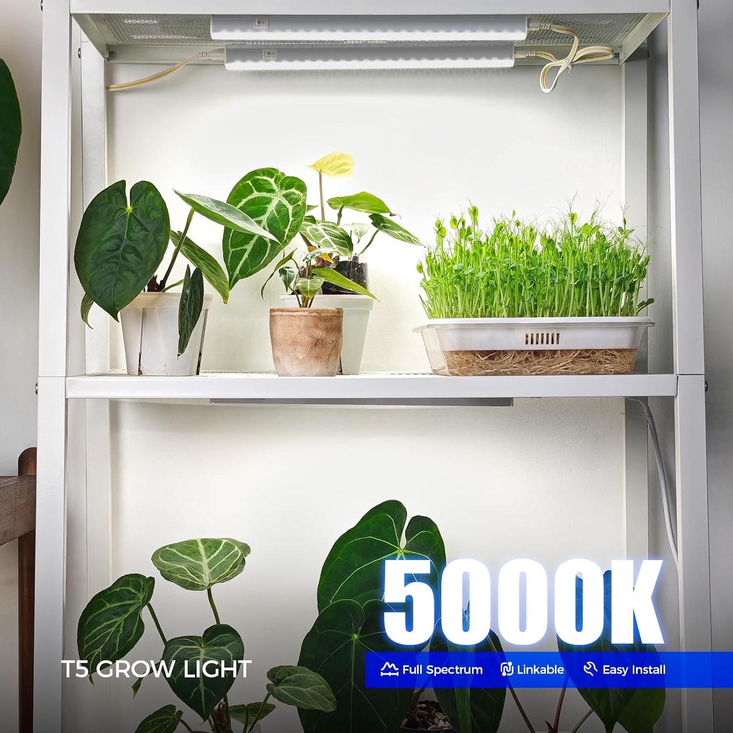 Barrina T5 Grow Lights for Indoor Plants, 5000K Full Spectrum, 1FT LED Growing L...