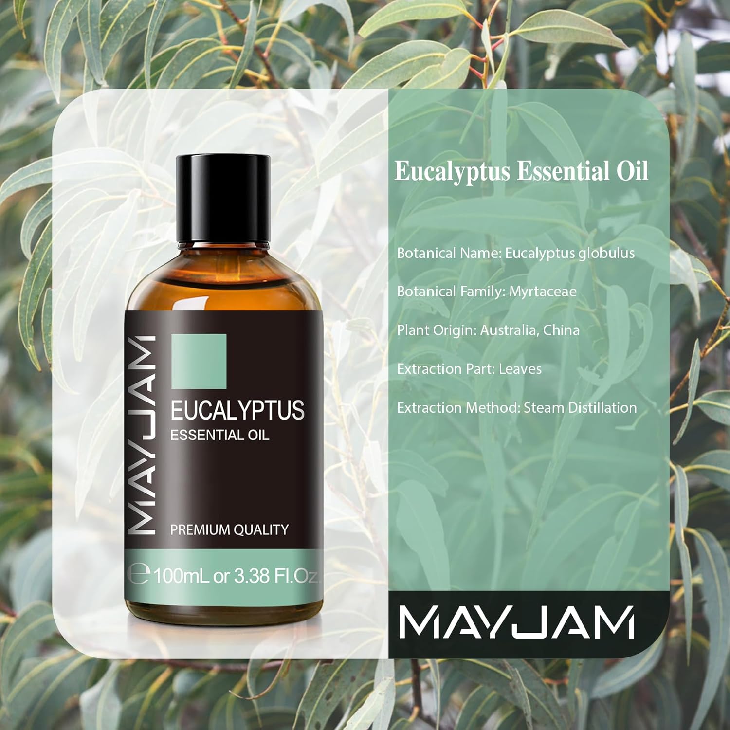 MAYJAM Eucalyptus Essential Oils 100ML, Eucalyptus Oil for Diffuser, Humidifier,...