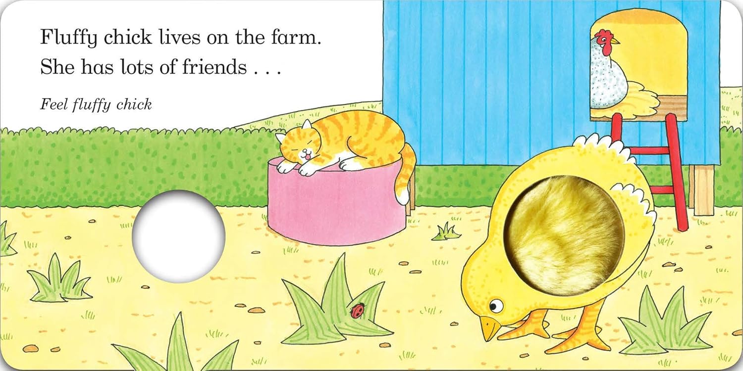 Fluffy Chick: An Easter touch-and-feel book from the creator of Dear Zoo