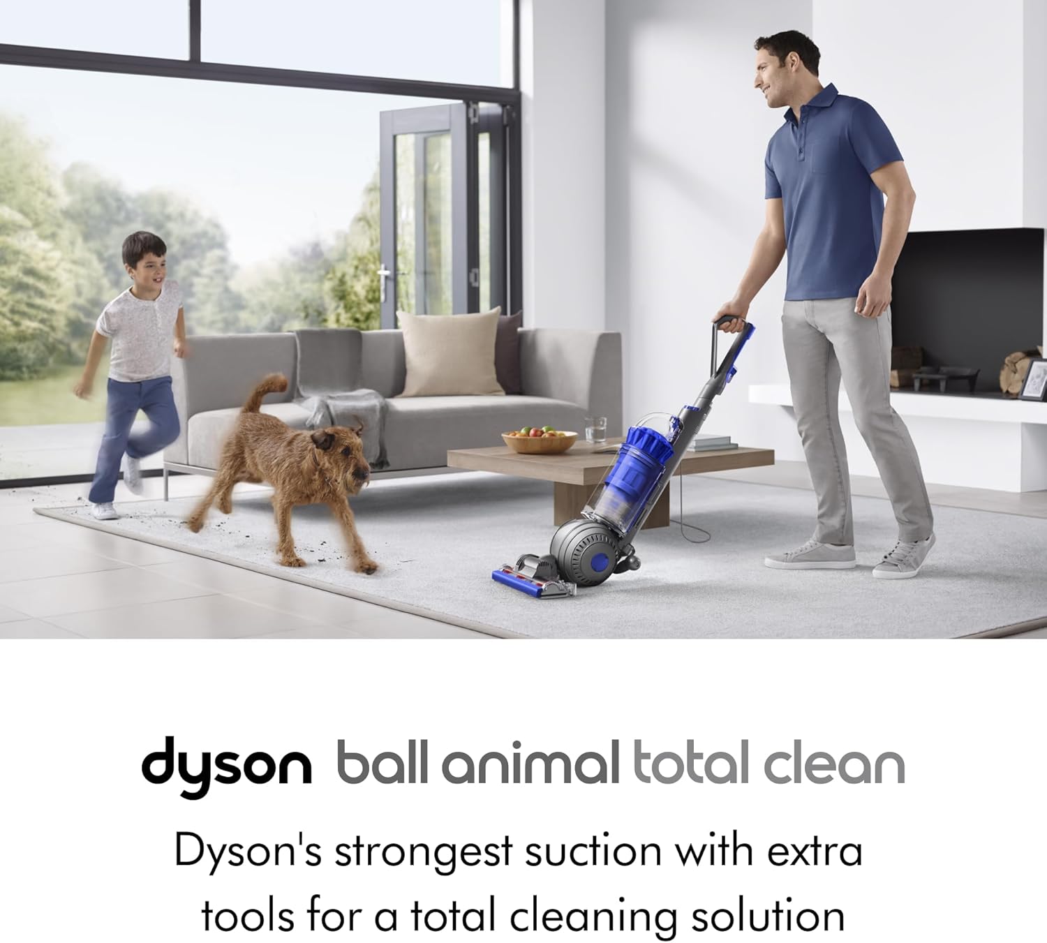 Dyson Ball Animal Total Clean Upright Vacuum Dyson Ball Animal 2 Total Clean
