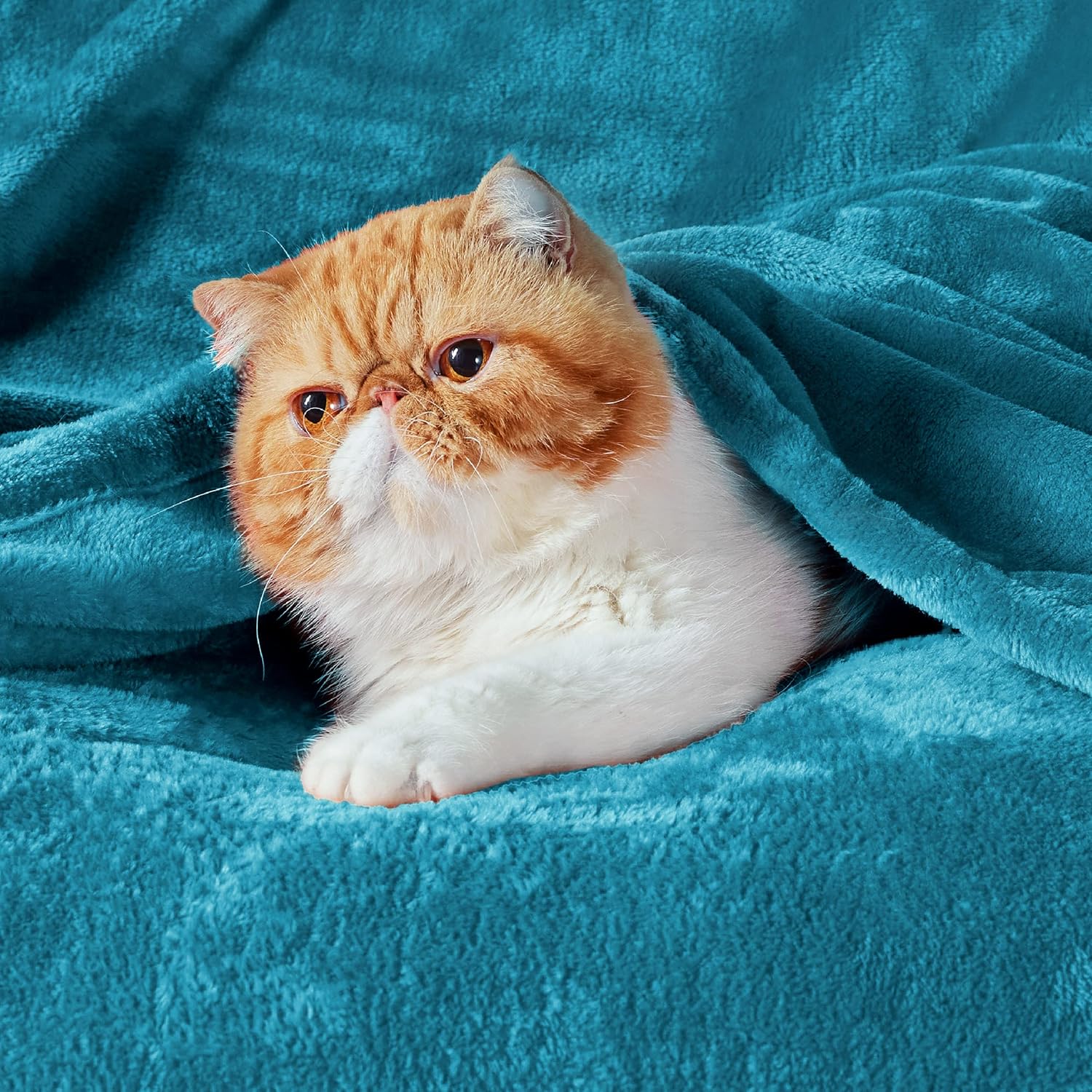 Cozy Bedsure Fleece Blanket, Special Soft Fluffy Throw Blankets, Warm Sustainabl...