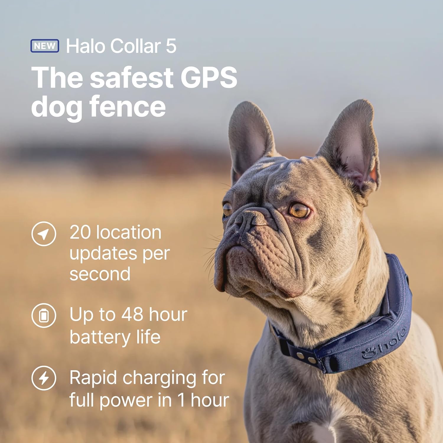 Halo Collar 5, Special Wireless Dog Fence, Innovative Pet Safety Solution