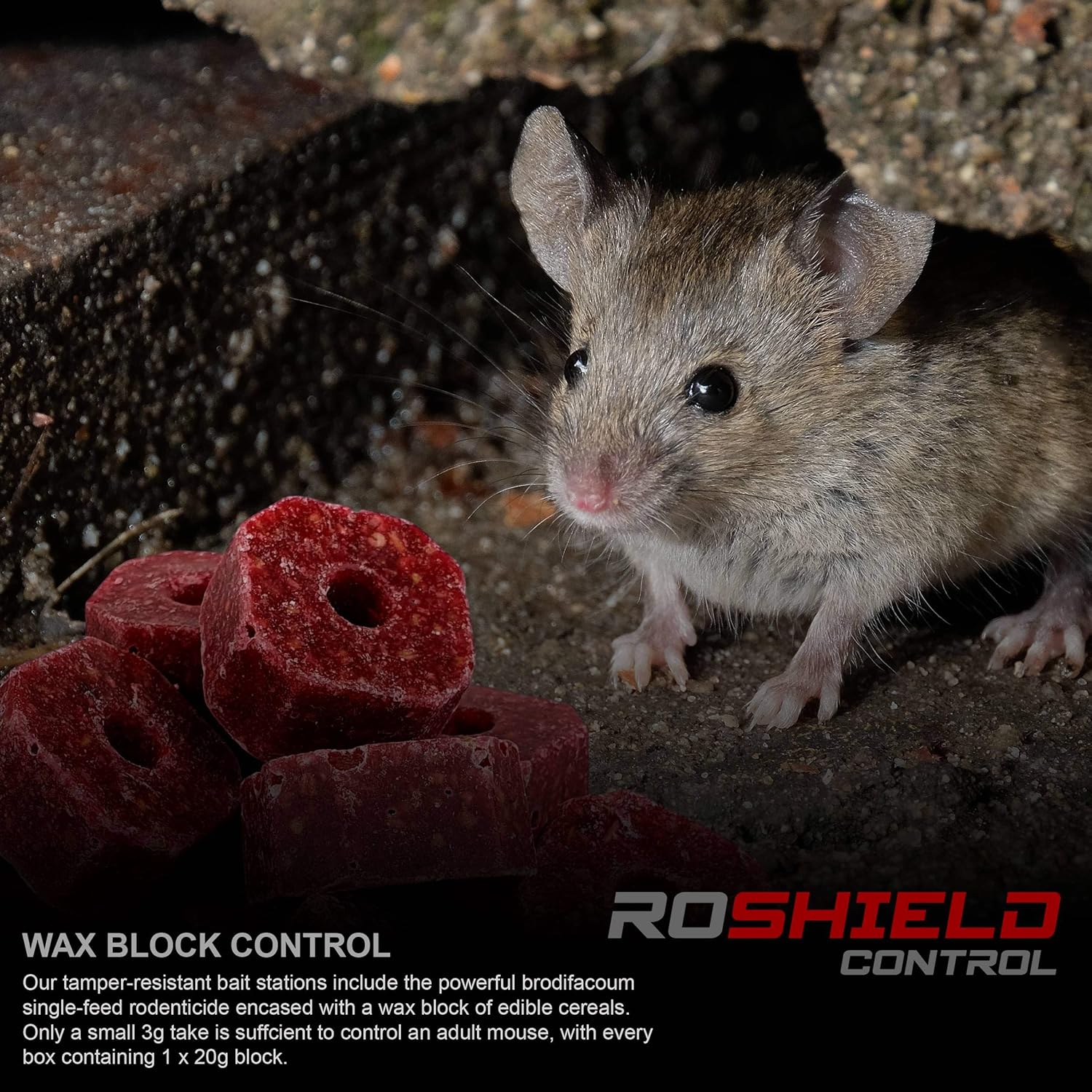 ROSHIELD - 5 PRE-BAITED Mouse Poisoning Bait Box Kit | Single Feed Mice Killer |...