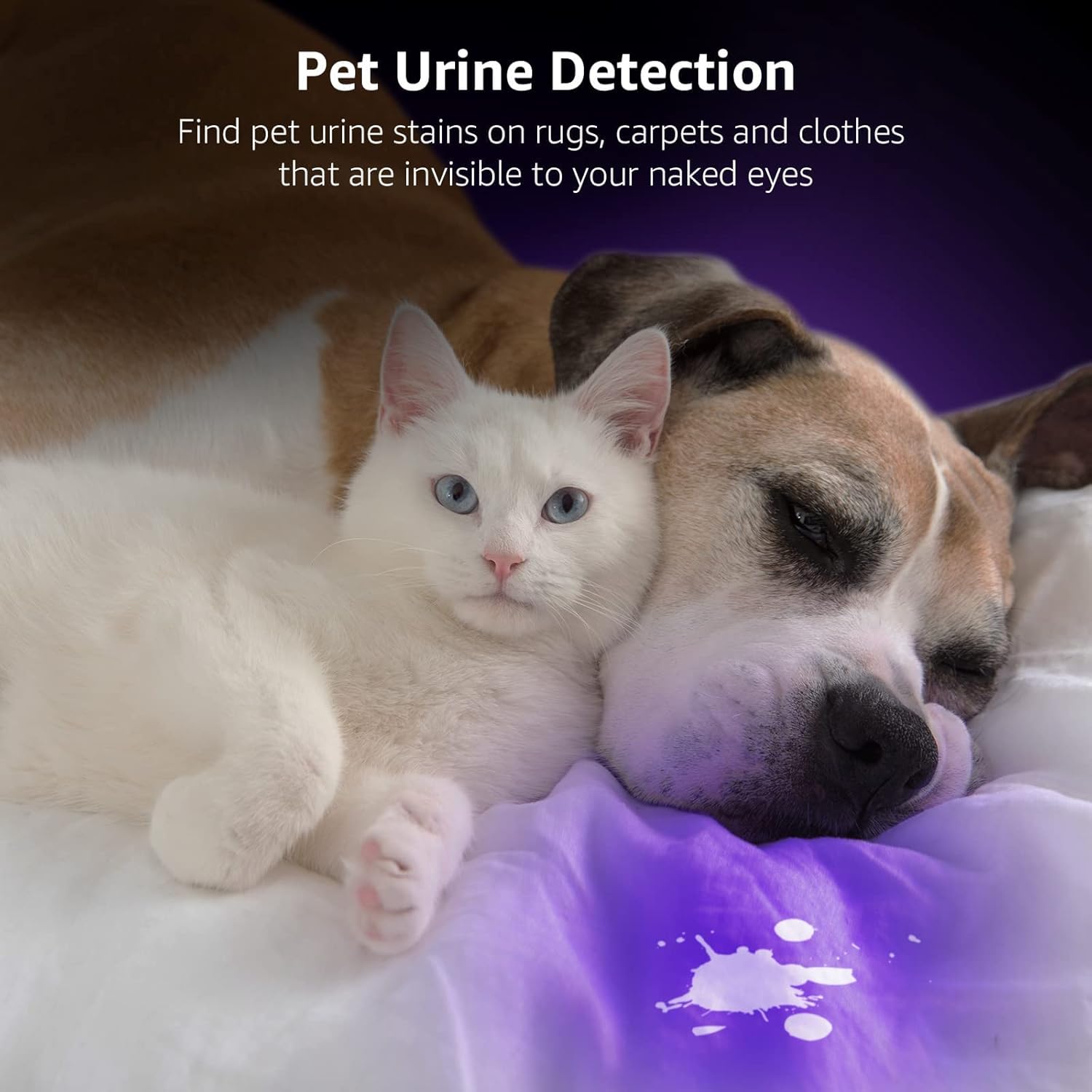 Lepro LE UV Torch, 9 LED 395nm Ultraviolet Flashlight, Blacklight Detector for P...