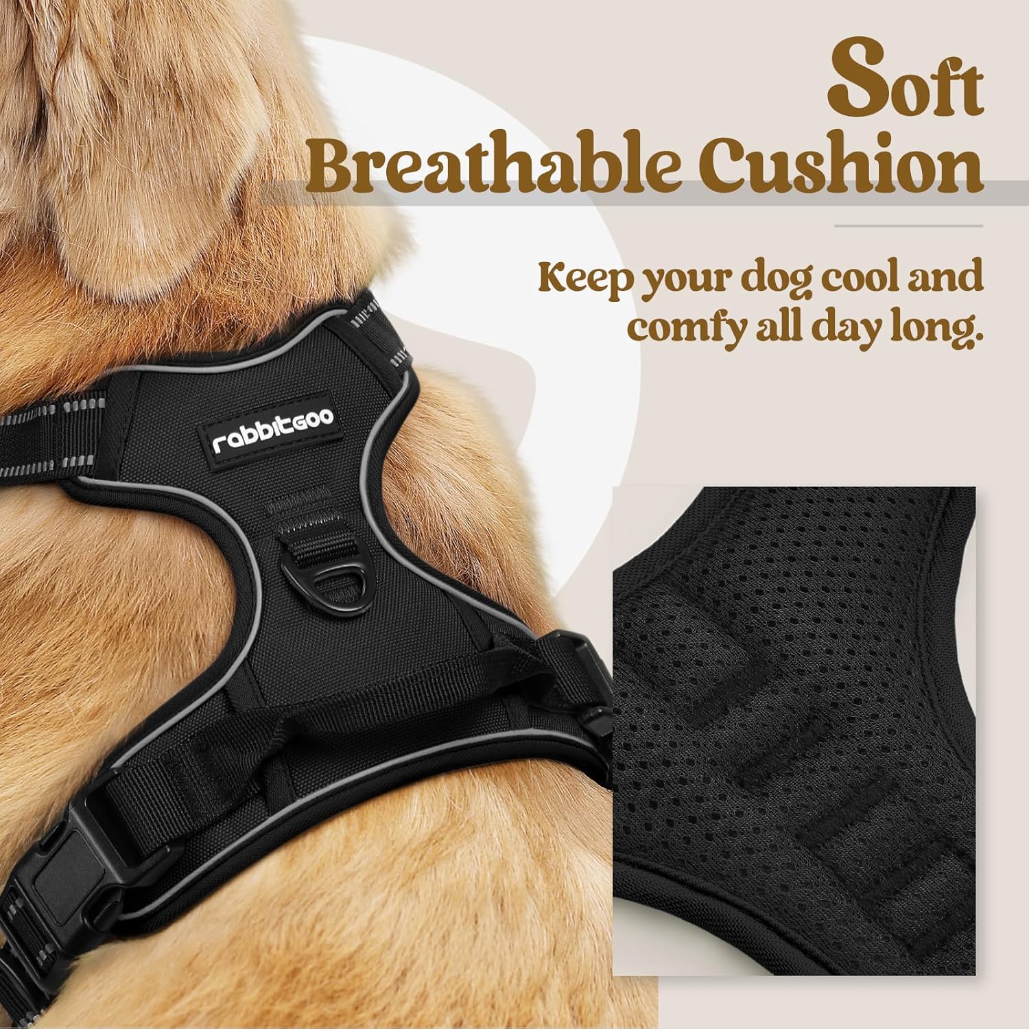 rabbitgoo Dog Harness No Pull with 2 Leash Clips, Adjustable Soft Padded, Reflec...