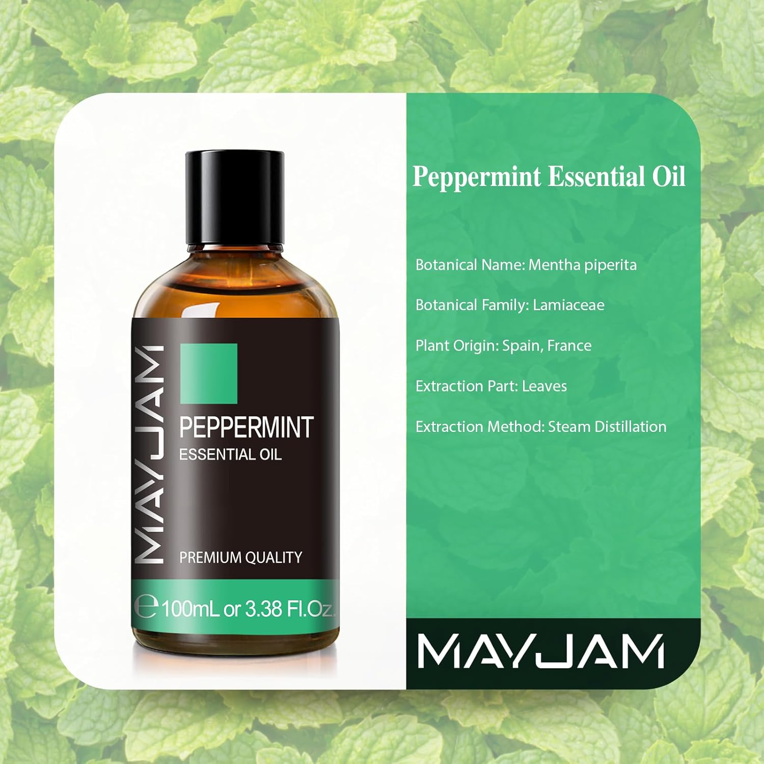 MAYJAM Peppermint Essential Oils 100ML, Peppermint Oil for Diffuser, Humidifier,...