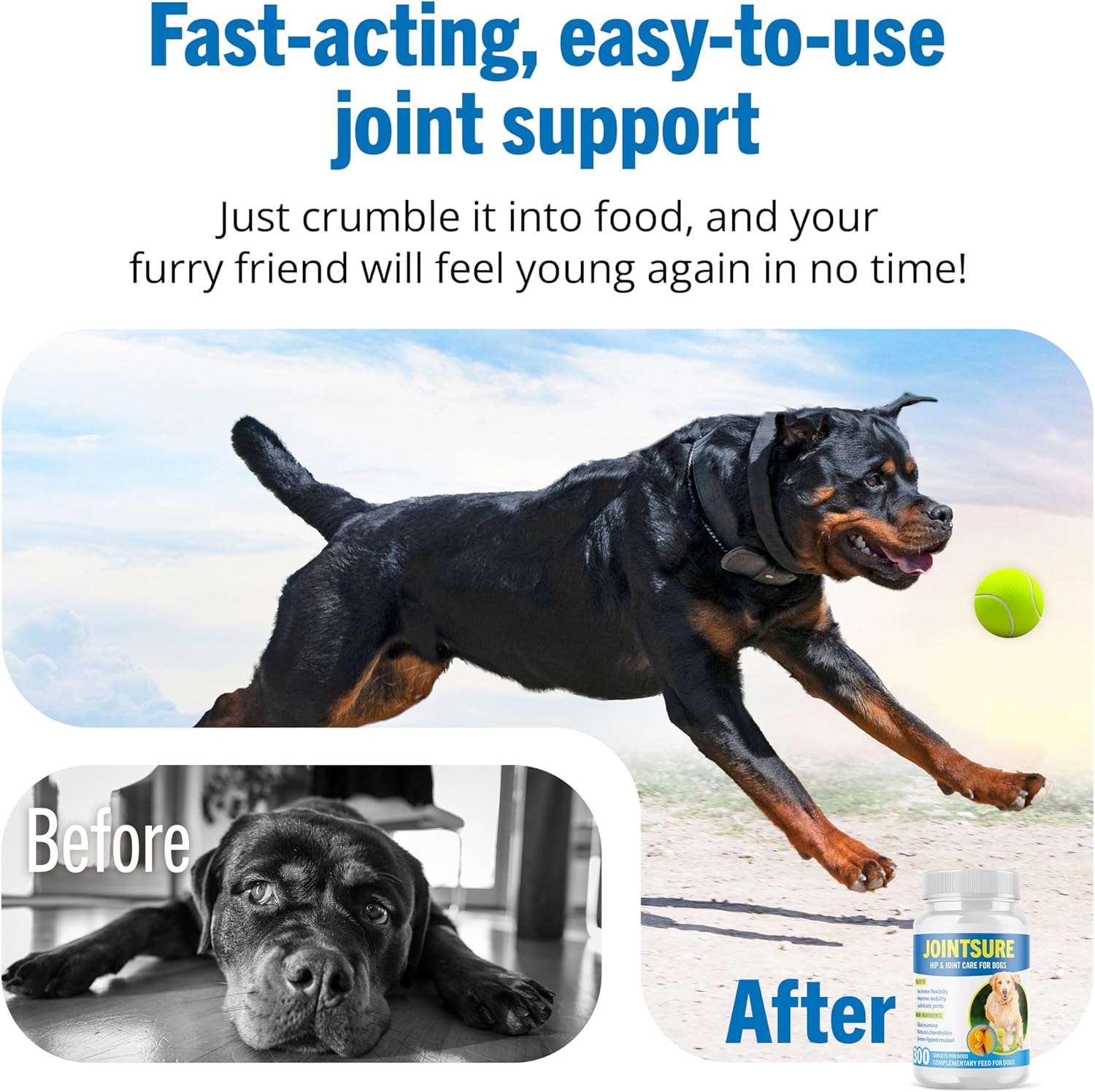 JOINTSURE Joint Supplements for Dogs – 120 Tabs, Joint Structure & Mobility for...