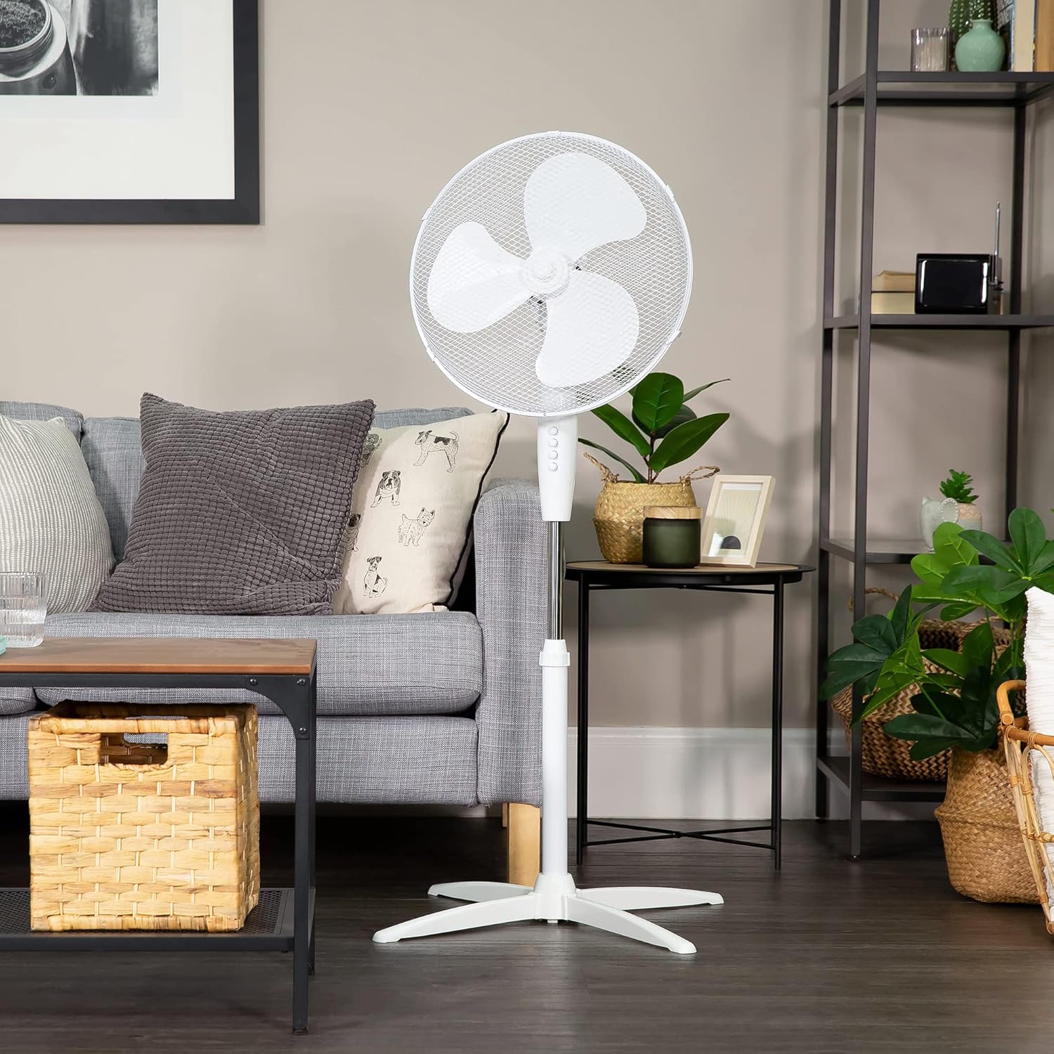 Russell Hobbs Pedestal Fan, Lightweight Fan with 3 Speeds, Special Wide-Angled O...